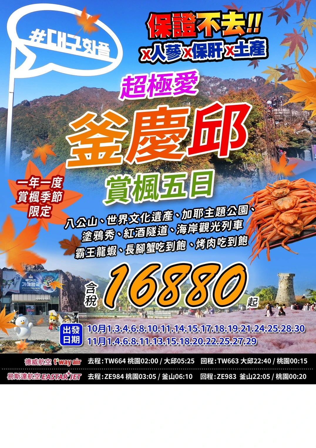 八公山、世界文化遺產、加耶主題公園、塗鴉秀、紅酒隧道、 海岸觀光列車、長腳蟹&烤肉吃到飽五日